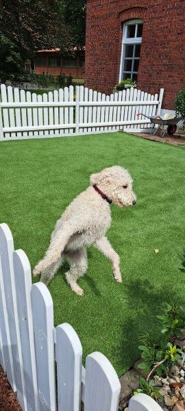 Easyfix Unterbausystem für Kunstrasen