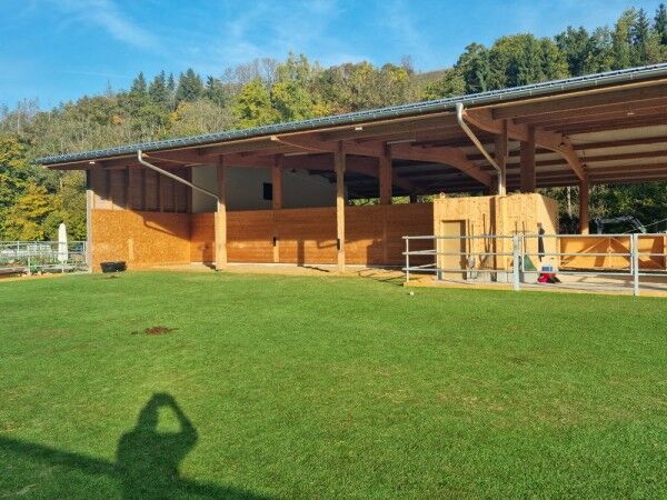 MUSTER Kunstrasen Paddock Grün 24mm