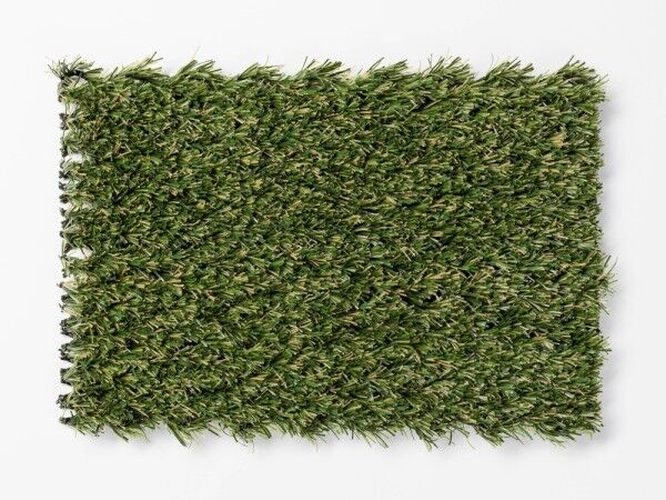 Hybridrasen für den Garten