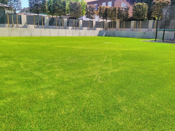 Kunstrasen Comfort-Line 40mm