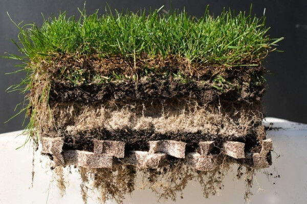 Hybridrasen mit Fallschutz für Kitas, Kindergärten & Schulen (DIN EN 1177 zertifiziert)