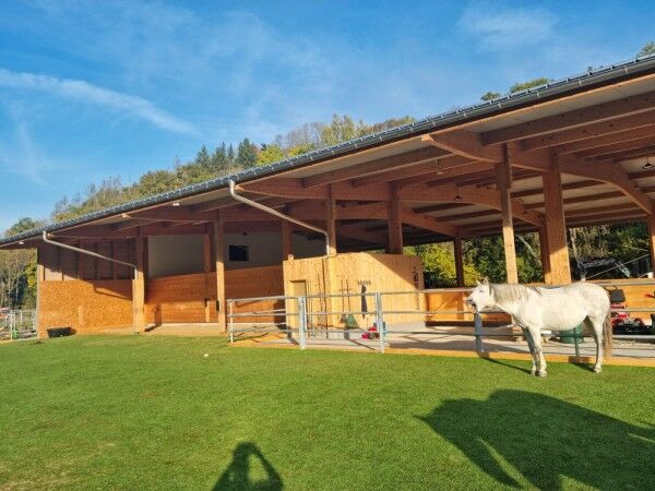 Kunstrasen Paddock Grün 24mm