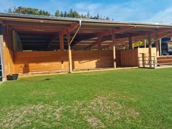 Kunstrasen Paddock Grün 24mm