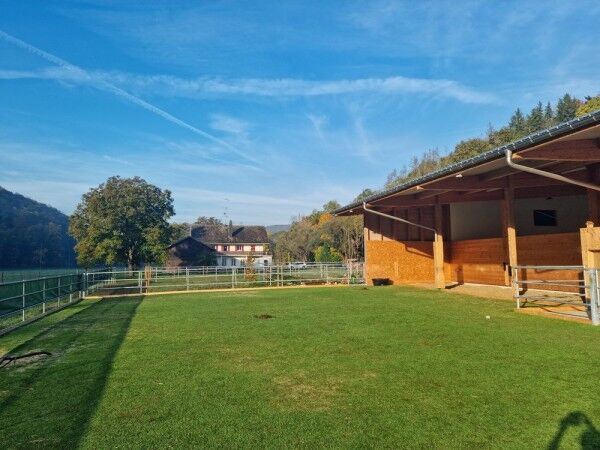 Kunstrasen Paddock Grün 24mm