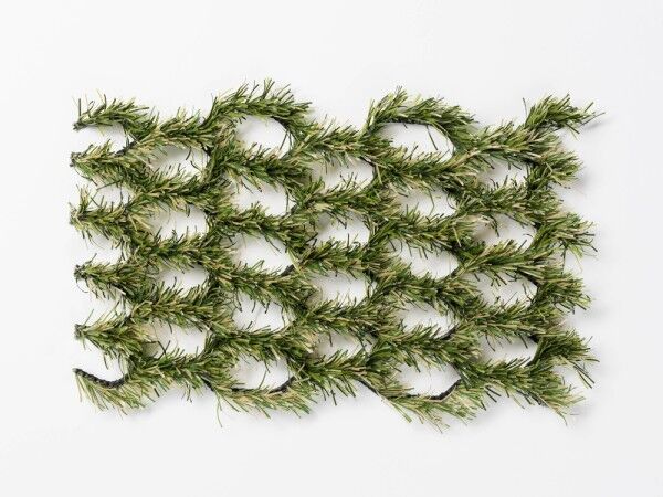 Hybridrasen für Ufer-, Böschungs- und Hangbefestigung