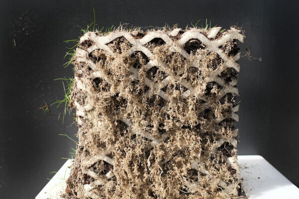 Hybridrasen mit Fallschutz für Kitas, Kindergärten & Schulen (DIN EN 1177 zertifiziert)