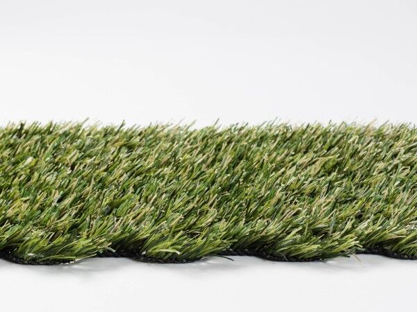 Hybridrasen für den Garten