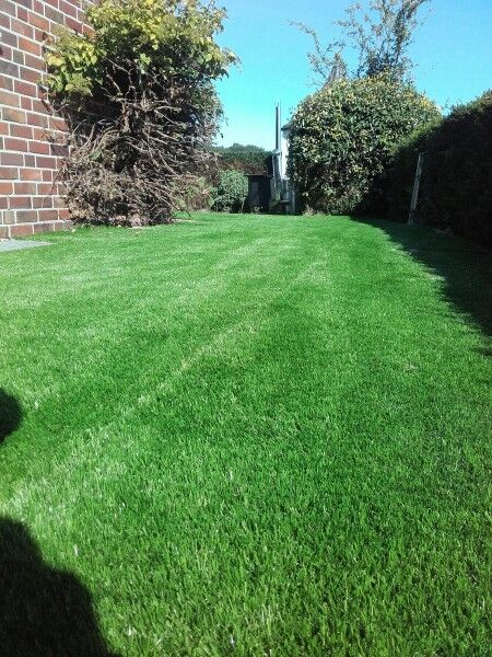 Kunstrasen Comfort-Line 50mm im Garten