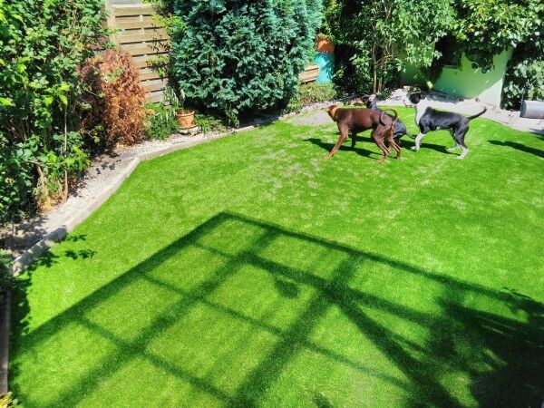 Hunde lieben Kunstrasen Comfort-Line 40mm