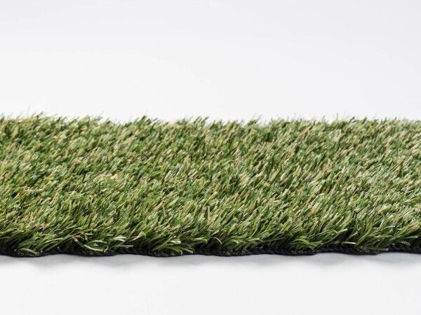 Hybridrasen für den Garten