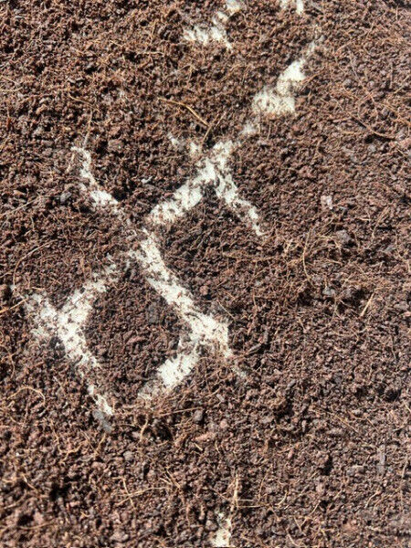 Hybridrasen mit Fallschutz für Kitas, Kindergärten & Schulen (DIN EN 1177 zertifiziert)